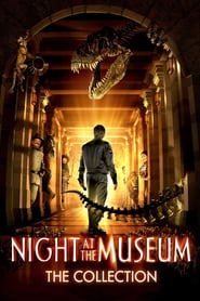 Night In The Museum 2 In Hindi In 480p